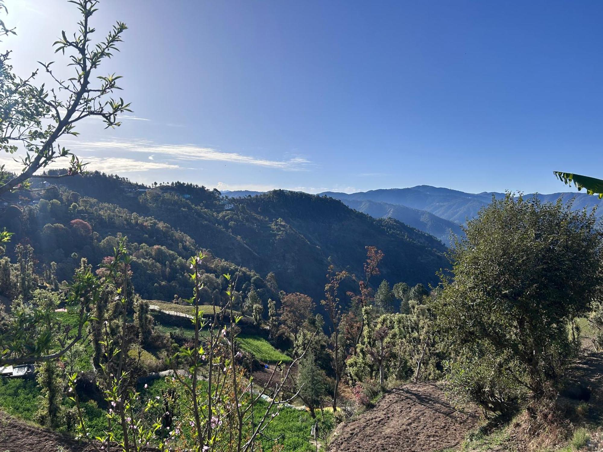 Shalom Hillcrest Inn Shimla Exterior foto